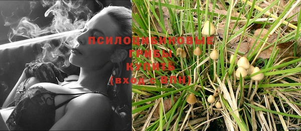 эйфоретик Алзамай