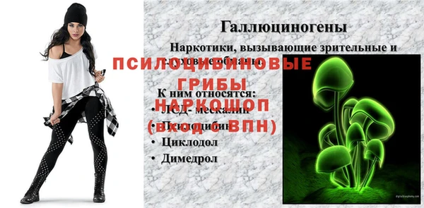 а пвп мука Абаза